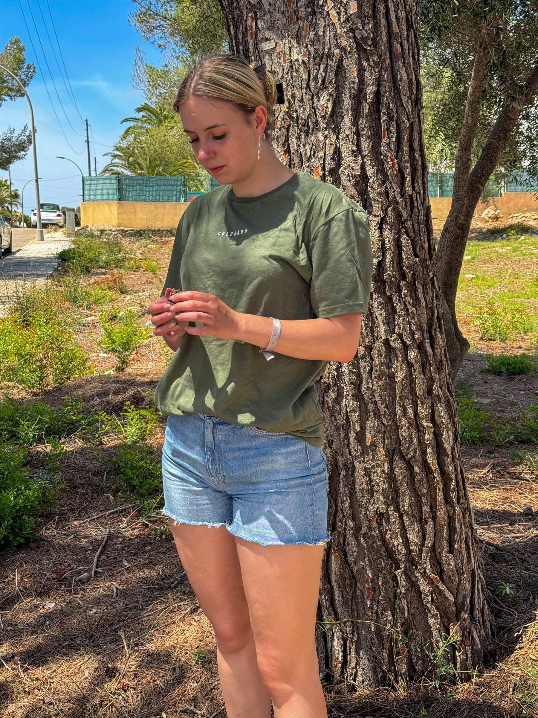 Colorado - Oliven T-Shirt