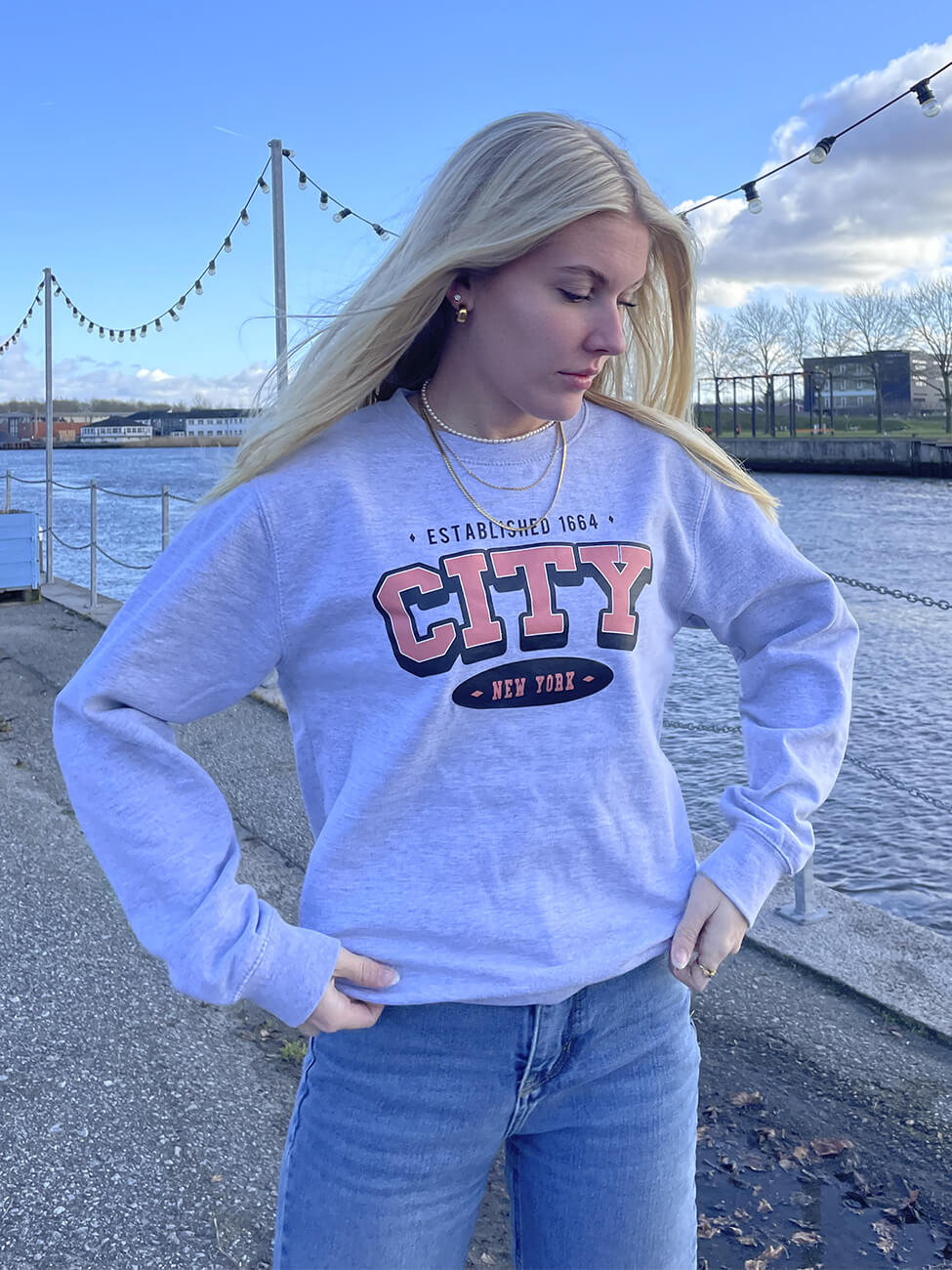 Varsity NYC - Grå Sweatshirt