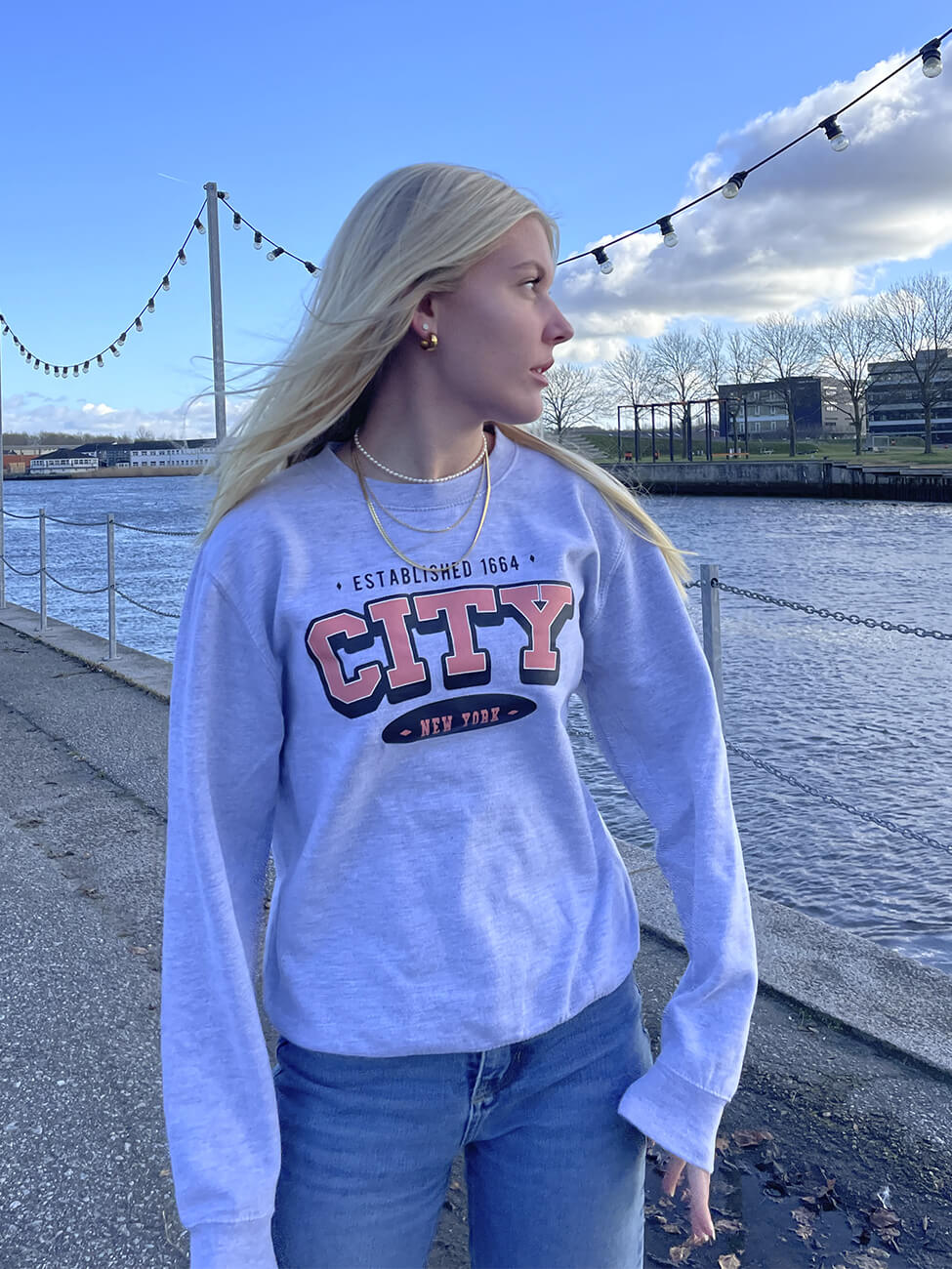 Varsity NYC - Grå Sweatshirt