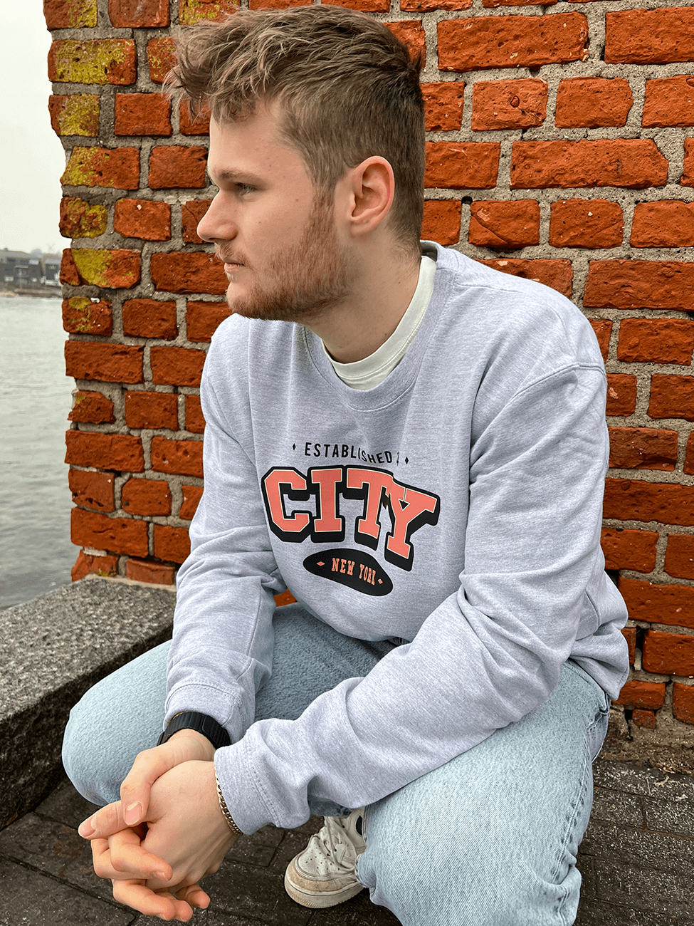 Varsity NYC - Grå Sweatshirt